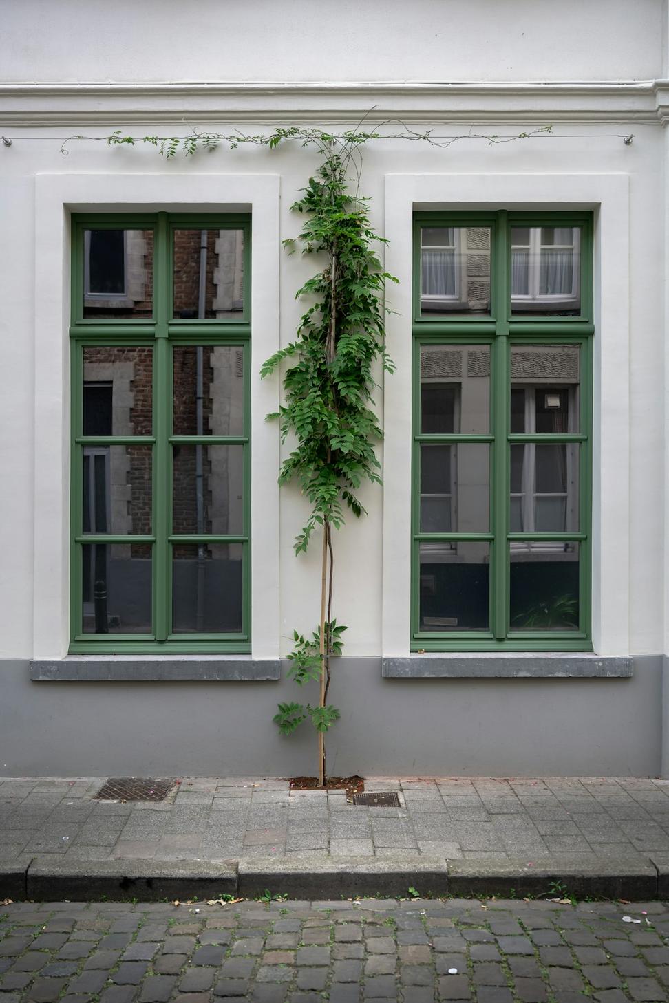 Westridge Passive House